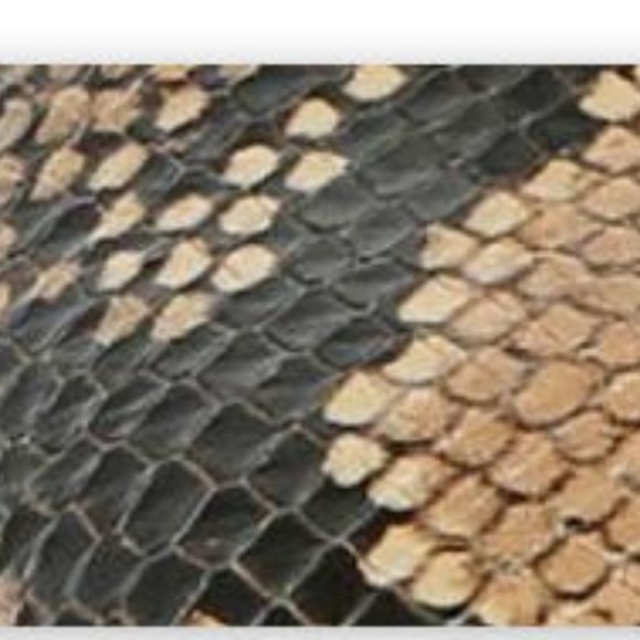 Franco Sarto Halo Snake Print Leather Square Toe Mary Jane Pump, 8 & 9 - Picture 10 of 11